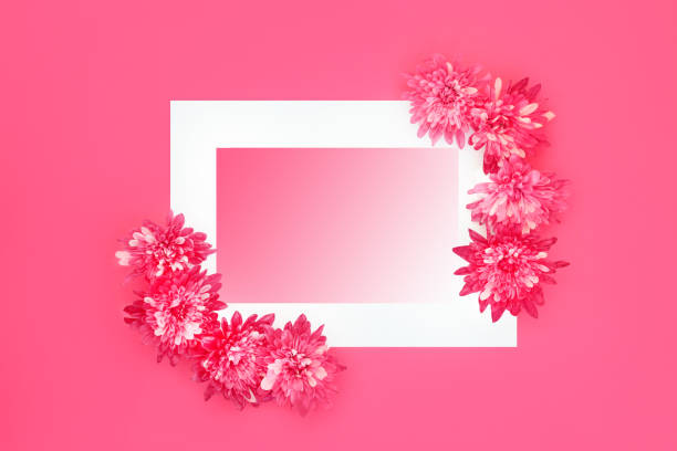 How to Use Gift Cards to Your Advantage - Nosh