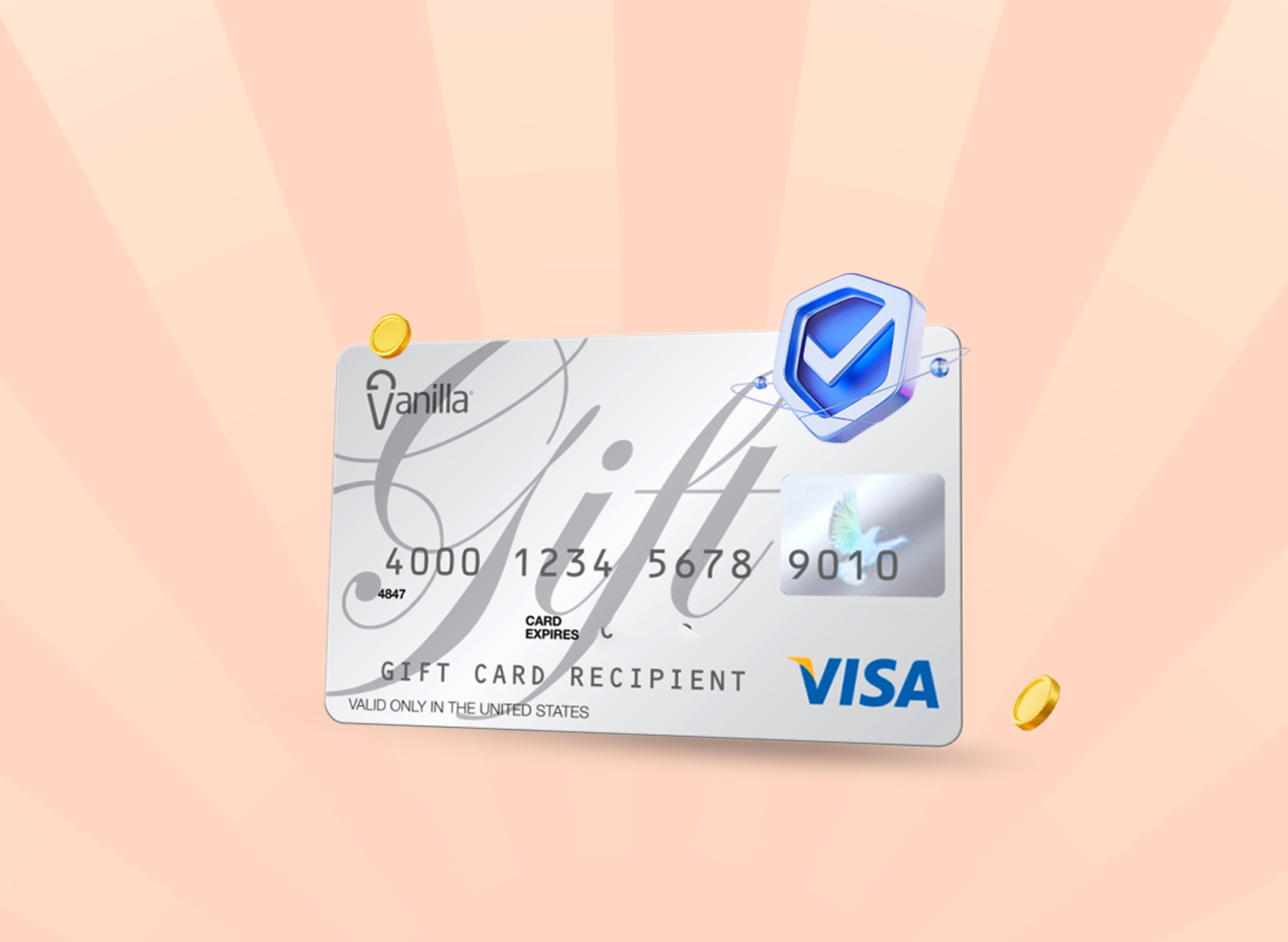 A Step-by-Step Guide to Checking the Balance on Visa Gift Cards - Nosh